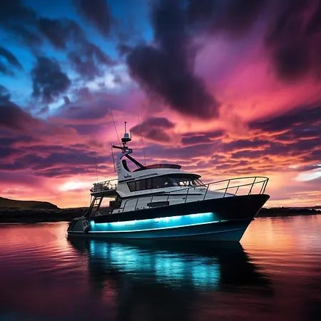 Private Abu Dhabi Island Hopping And Camping